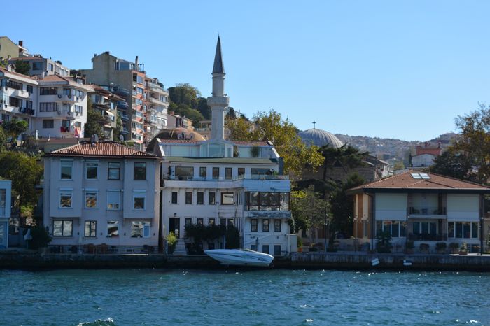 image-.jpg