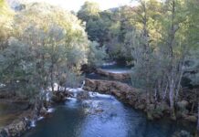 Friday Prayers at Hamidieh Mosque