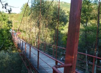 Carriages from the Harem