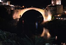 Firemen More Interesting Than Dogs