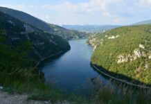 The Pigeons of the Bayezid Mosque